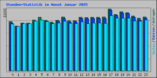 Stunden-Statistik im Monat Januar 2025