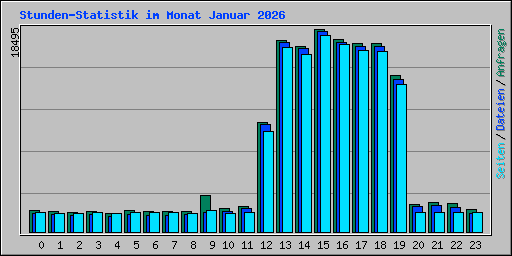 Stunden-Statistik im Monat Januar 2026
